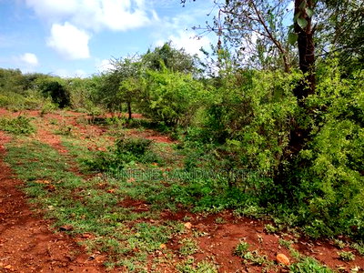 Embu,Mariari Agricultural Land Near the Road - Image 4