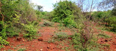 Embu,Mariari Agricultural Land Near the Road - Image 17