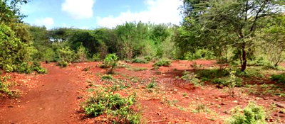 Embu,Mariari Agricultural Land Near the Road - Image 19