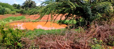 Embu,Mariari Agricultural Land Near the Road - Image 2