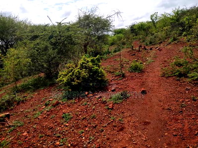 Embu,Mariari Agricultural Land Near the Road - Image 12