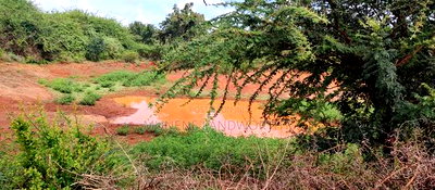 Embu,Mariari Agricultural Land Near the Road - Image 18