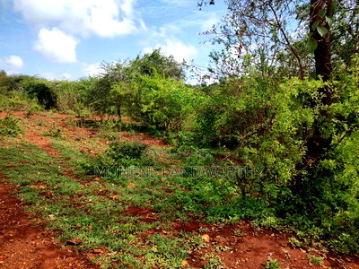 Embu,Mariari Agricultural Land Near the Road - Image 7