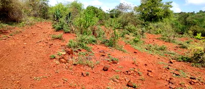 Embu,Mariari Agricultural Land Near the Road - Image 10