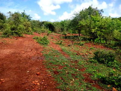 Embu,Mariari Agricultural Land Near the Road - Image 8