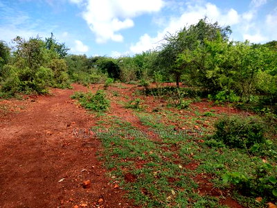 Embu,Mariari Agricultural Land Near the Road - Image 6
