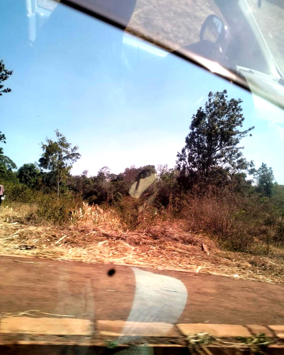 9-Acre Garden Plot with Parking at KSh 130M