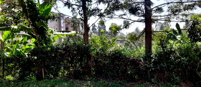 0.75 Acre Garden Plot with Parking