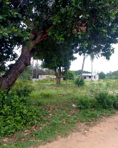 Quarter Acre in Kilifi for KSh 2.6M