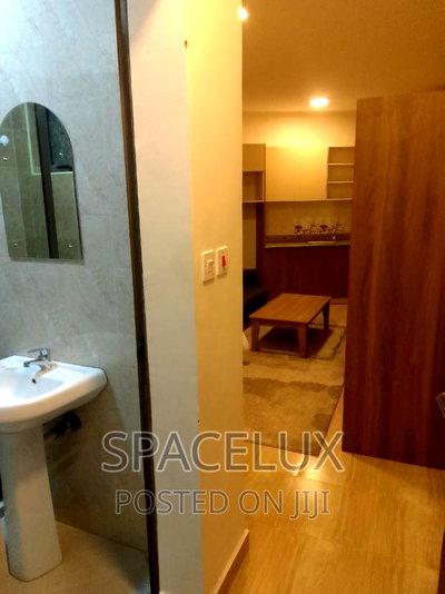 Studio Apartment in Nairobi West for sale - Image 3