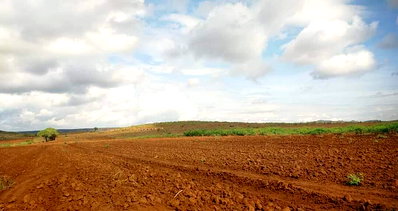 200-Acre Garden Land in Nakuru