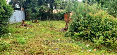 Prime 1/4 Plot for Sale Kapsret Shopping Centre in Eldoret - Image 3