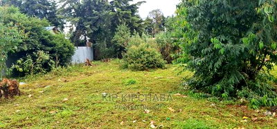 Prime 1/4 Plot for Sale Kapsret Shopping Centre in Eldoret - Image 6