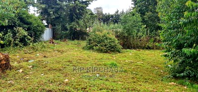 Prime 1/4 Plot for Sale Kapsret Shopping Centre in Eldoret - Image 7