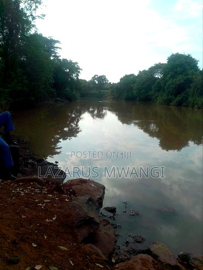 5 Acres of Land Good for Hotel Touching R. Tana - Image 7