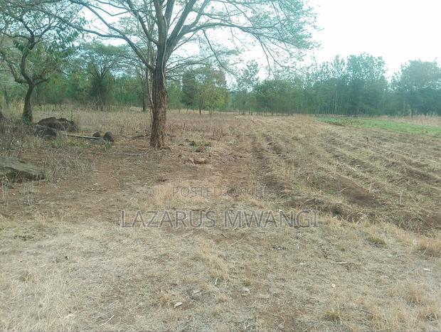 5 Acres of Land Good for Hotel Touching R. Tana