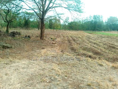 5 Acres of Land Good for Hotel Touching R. Tana - Image 5