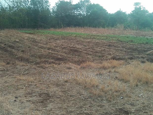 5 Acres of Land Good for Hotel Touching R. Tana