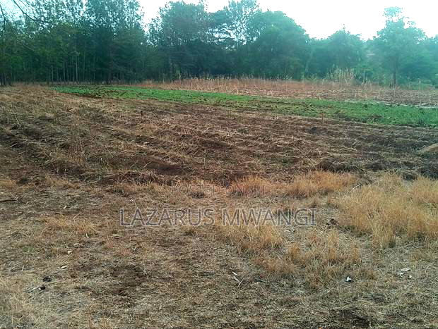 5 Acres of Land Good for Hotel Touching R. Tana