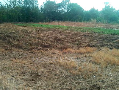 5 Acres of Land Good for Hotel Touching R. Tana - Image 3