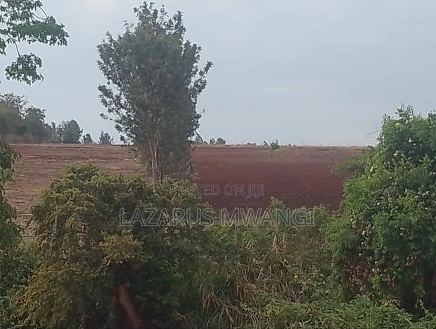 5 Acres of Land Good for Hotel Touching R. Tana