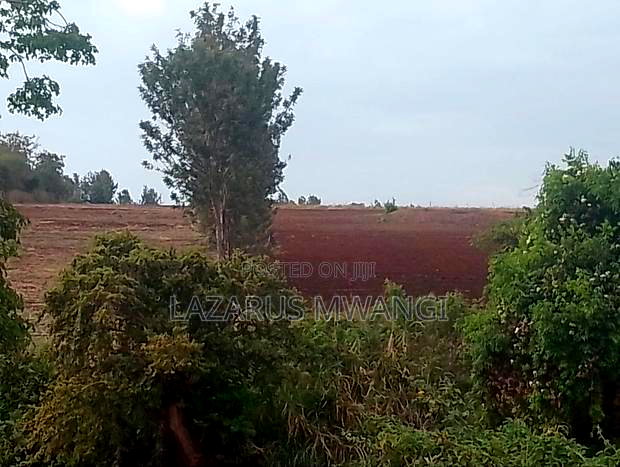 5 Acres of Land Good for Hotel Touching R. Tana