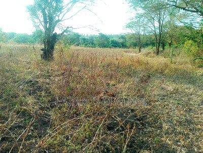 5 Acres of Land Good for Hotel Touching R. Tana - Image 6