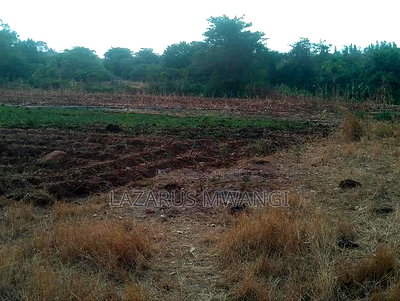 5 Acres of Land Good for Hotel Touching R. Tana - Image 4