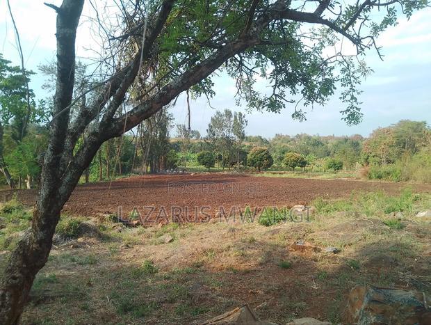 5 Acres of Land Good for Hotel Touching R. Tana