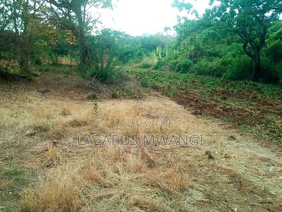 5 Acres of Land Good for Hotel Touching R. Tana - Image 8
