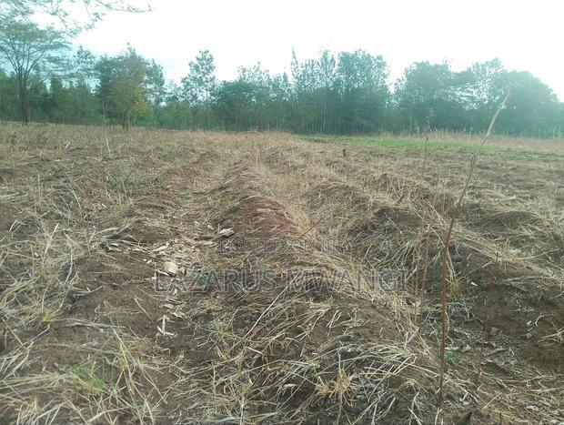 5 Acres of Land Good for Hotel Touching R. Tana