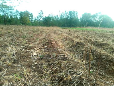 5 Acres of Land Good for Hotel Touching R. Tana - Image 10