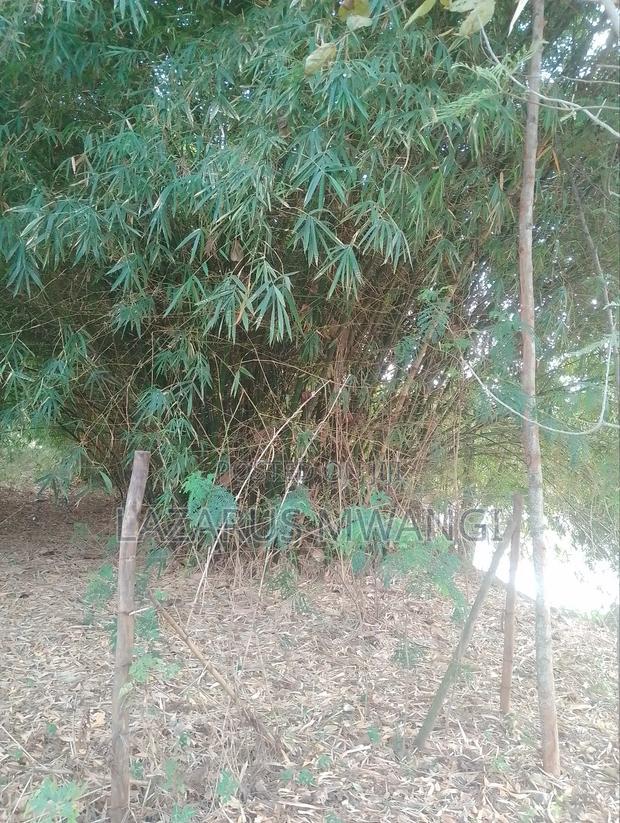 5 Acres of Land Good for Hotel Touching R. Tana