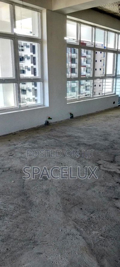 A New Feel a New Idea - Image 2