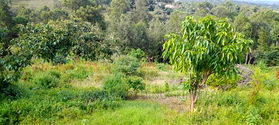 Distress 3 Prime Acres Redsoil in Matasia Ngong Near Highway - Image 5