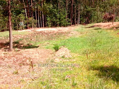 Prime Plots in Oljoroorok - Image 1