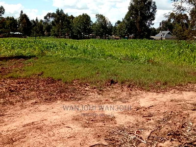 Prime Plots in Oljoroorok - Image 3