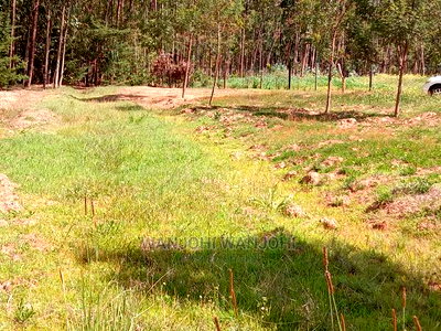 Prime Plots in Oljoroorok - Image 2