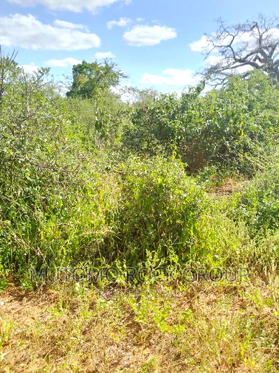 500acres for Sale - Image 2