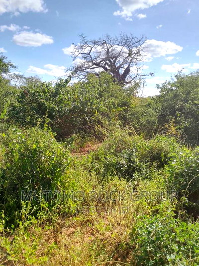 500acres for Sale - Image 3