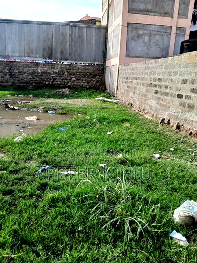 Tassia Behind Kwandege 33ft by 66ft - Image 3