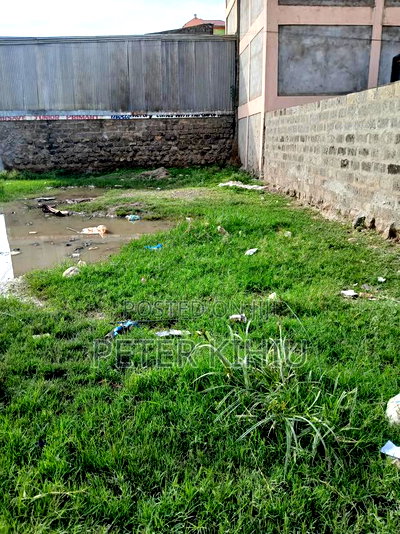 Tassia Behind Kwandege 33ft by 66ft - Image 1