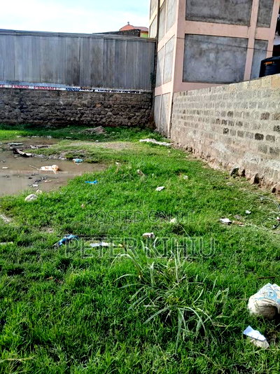 Tassia Behind Kwandege 33ft by 66ft - Image 2