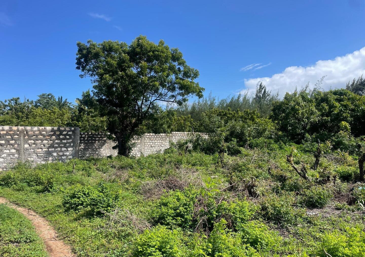 Quarter Acre Plot at KSh 2.5M