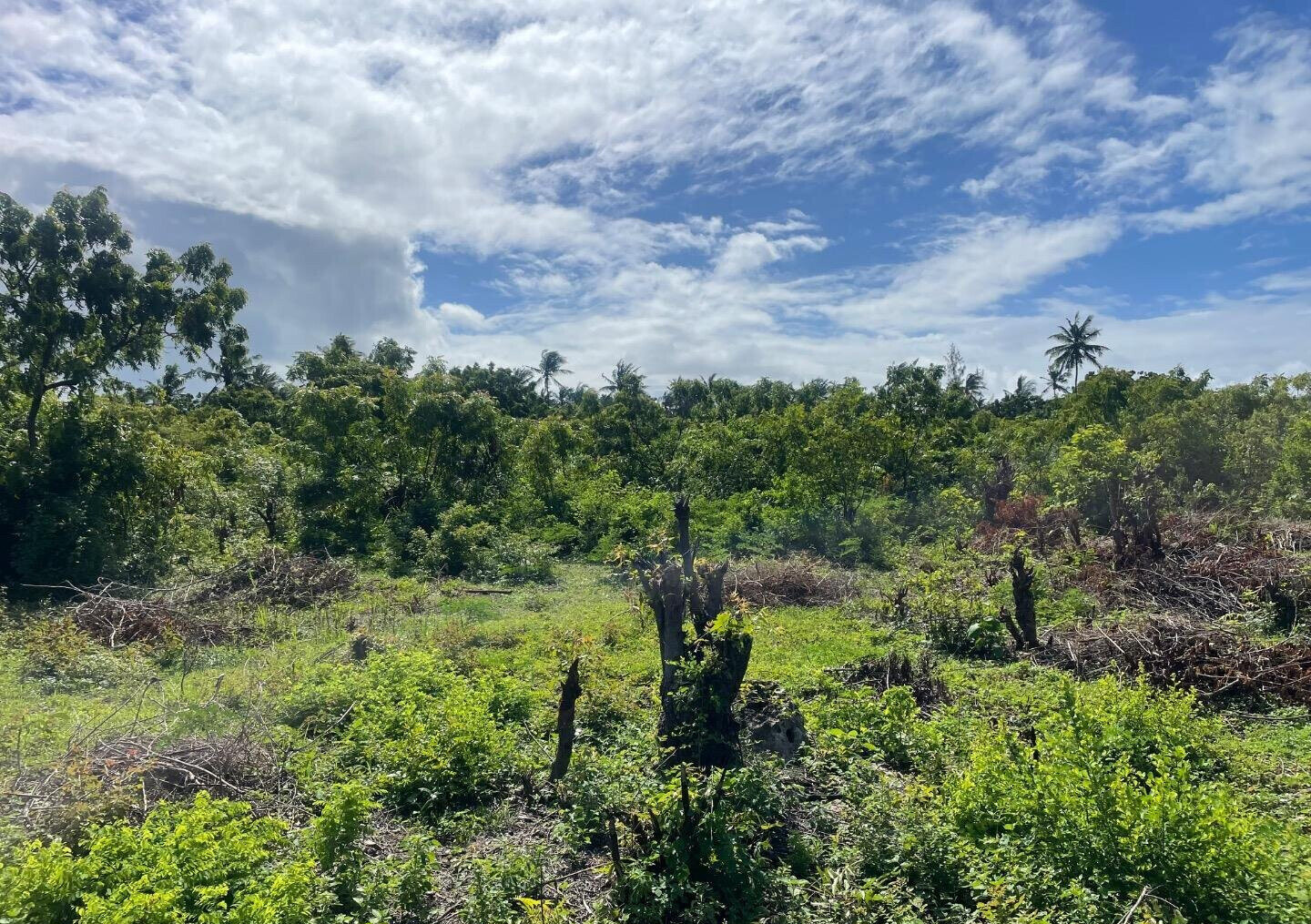 Quarter Acre Plot at KSh 2.5M
