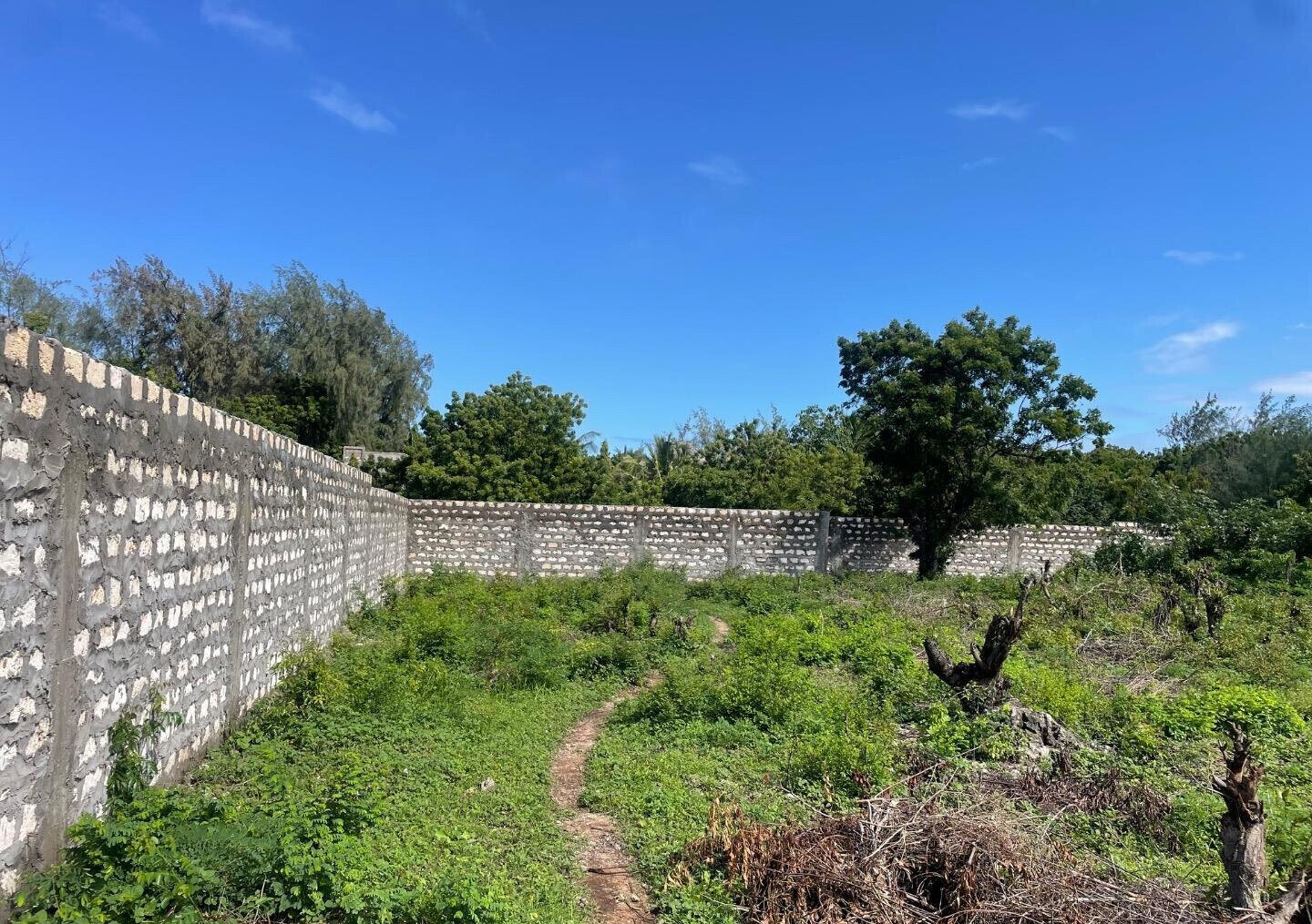Quarter Acre Plot at KSh 2.5M