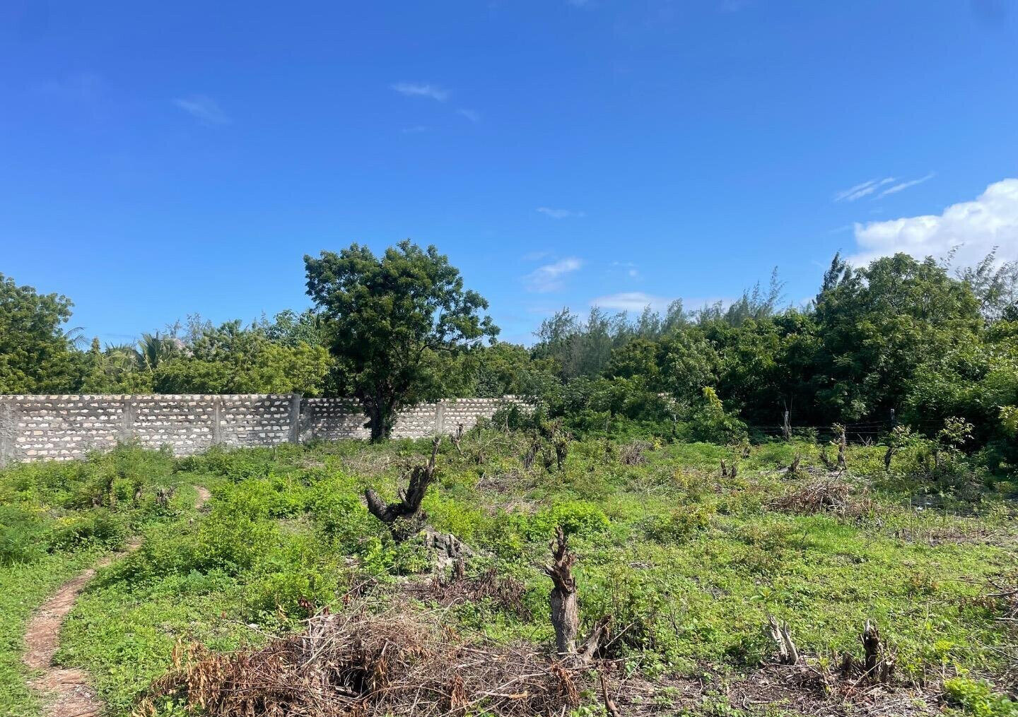 Quarter Acre Plot at KSh 2.5M
