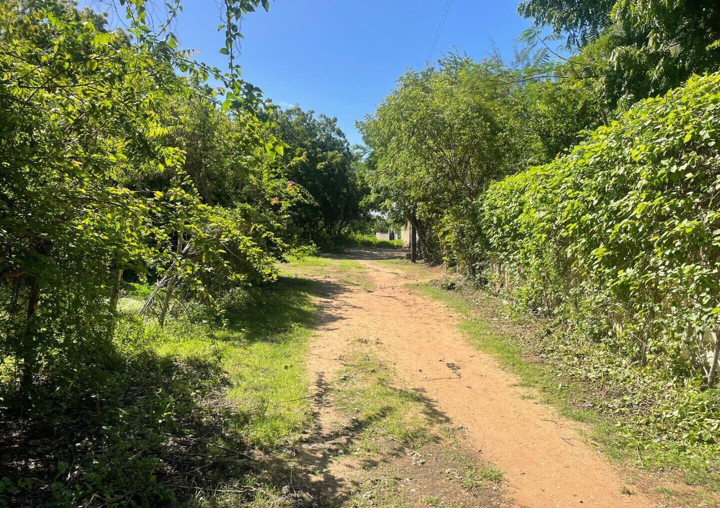 Quarter Acre Plot at KSh 2.5M