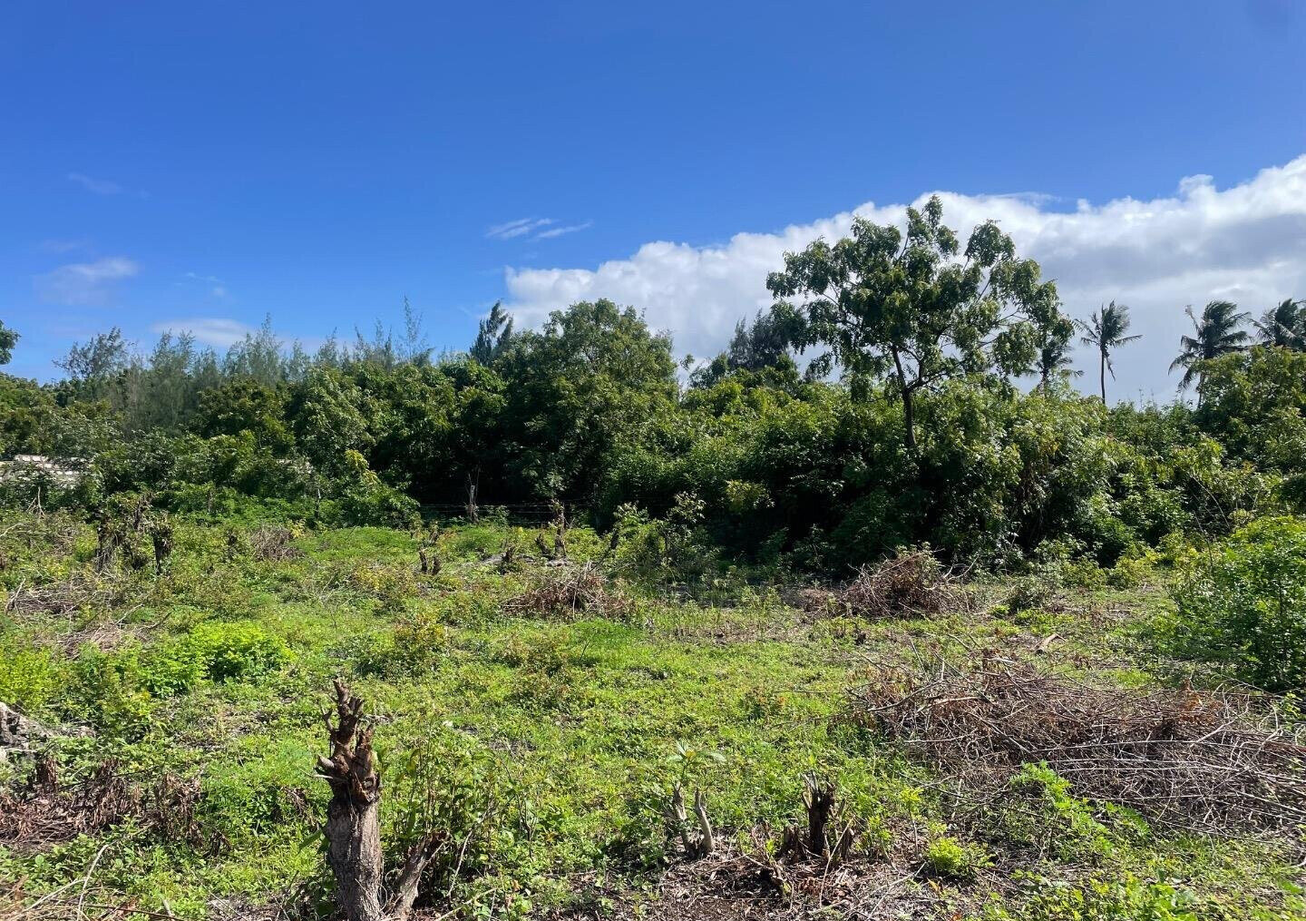 Quarter Acre Plot at KSh 2.5M