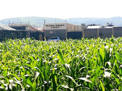 Superb Plot at Runda Lanet in Nakuru for Sale - Image 5